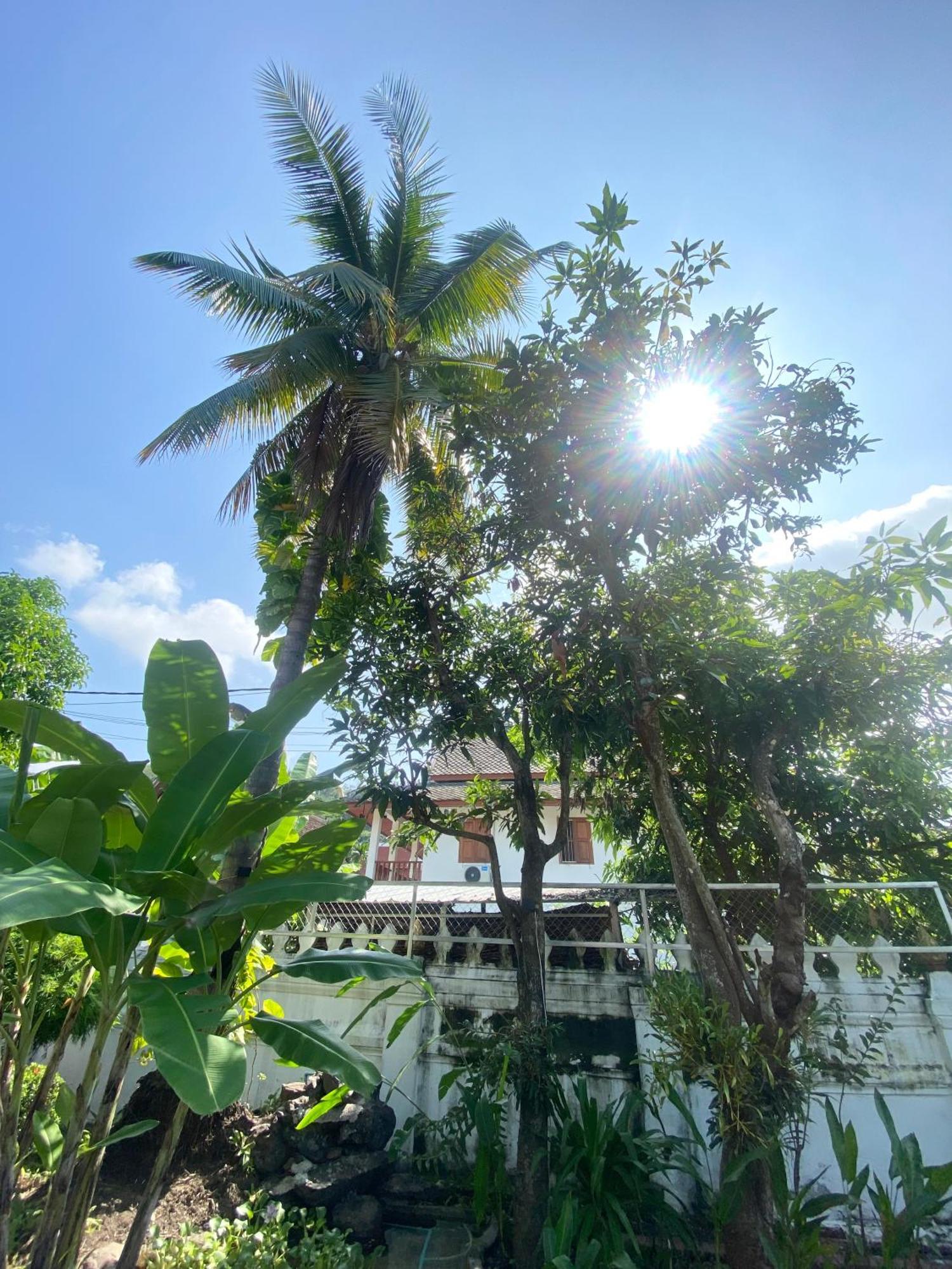 Luang Prabang Residence & Travel Exterior foto